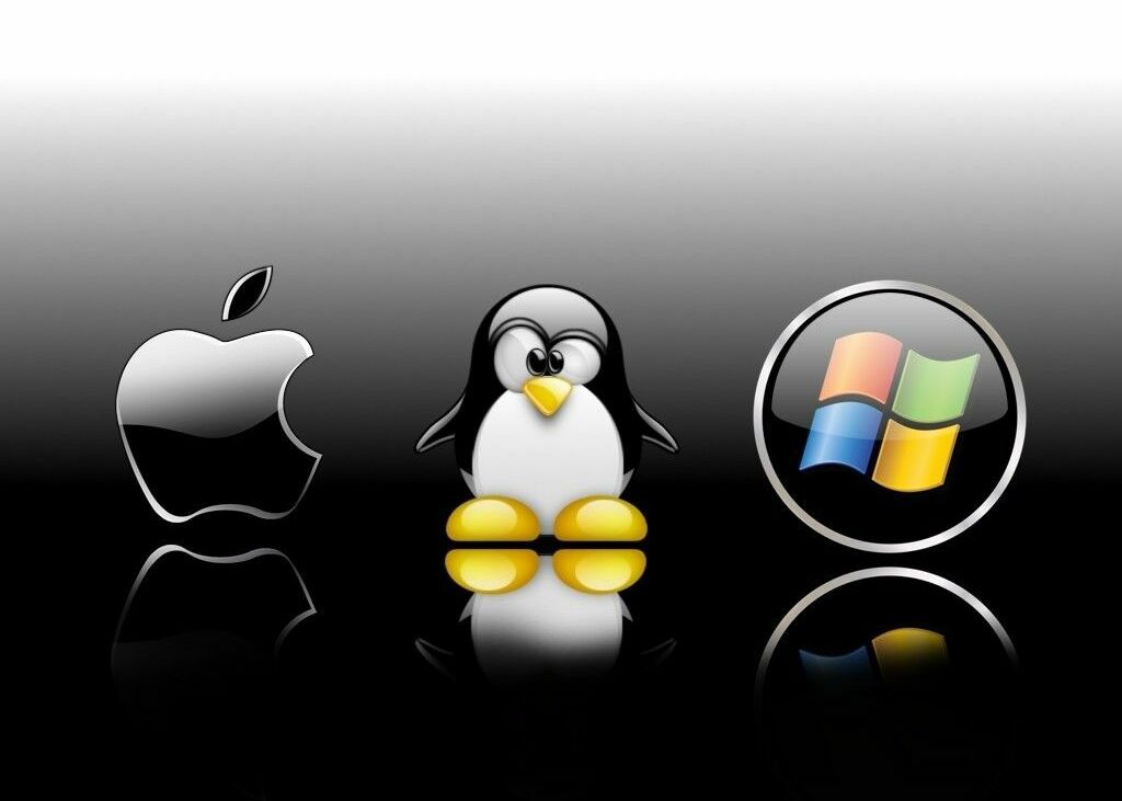 СПЕЦПРЕДЛОЖЕНИЕ